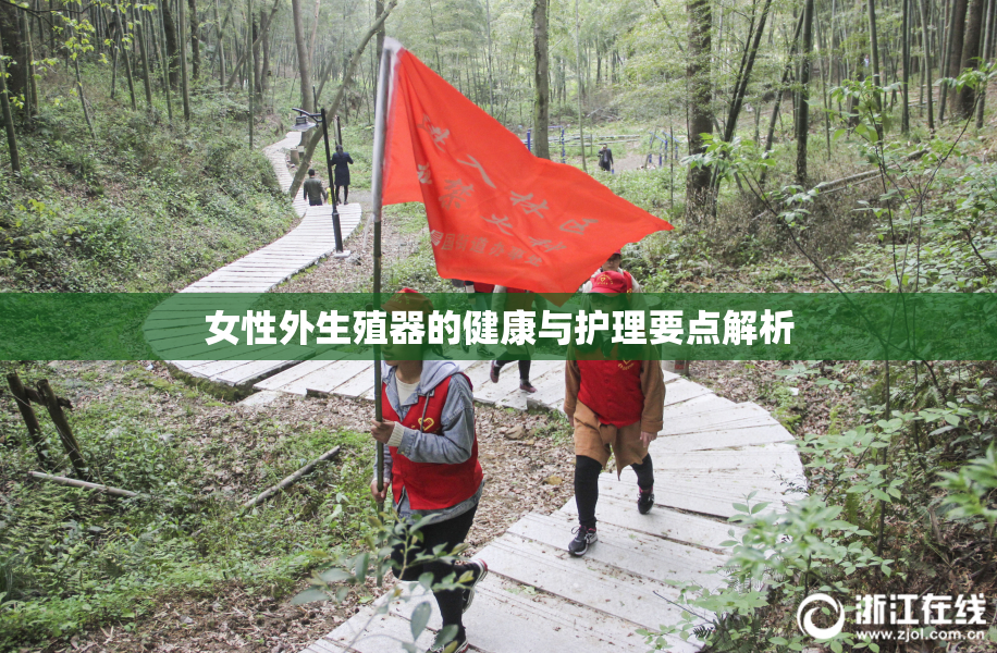 女性外生殖器的健康与护理要点解析