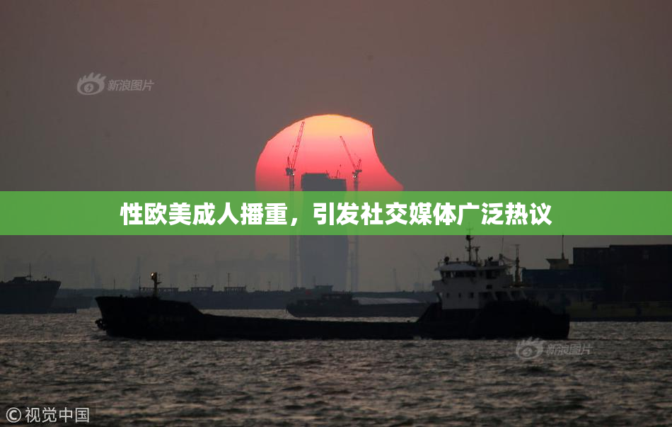 性欧美成人播重，引发社交媒体广泛热议