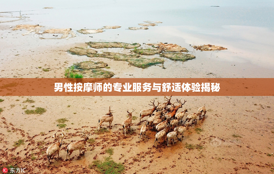 男性按摩师的专业服务与舒适体验揭秘