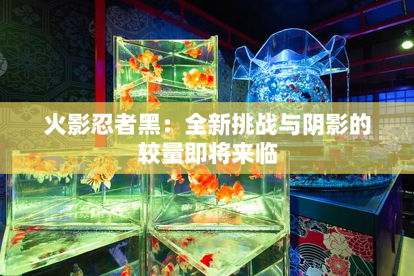 火影忍者黑：全新挑战与阴影的较量即将来临