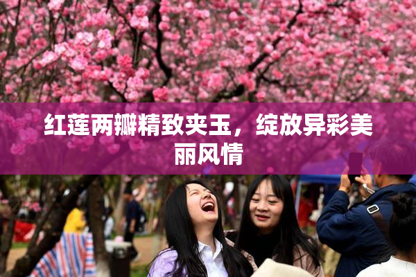 红莲两瓣精致夹玉，绽放异彩美丽风情