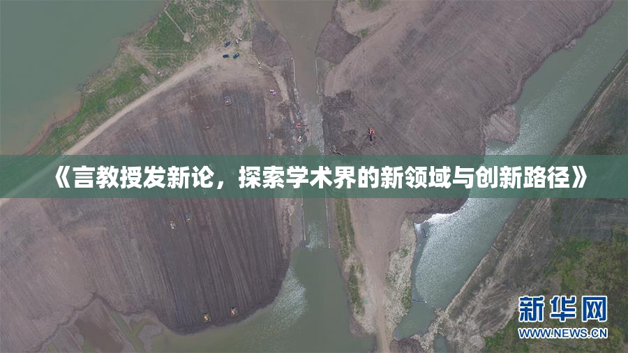 《言教授发新论，探索学术界的新领域与创新路径》