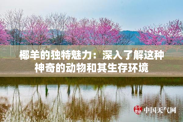 椰羊的独特魅力：深入了解这种神奇的动物和其生存环境