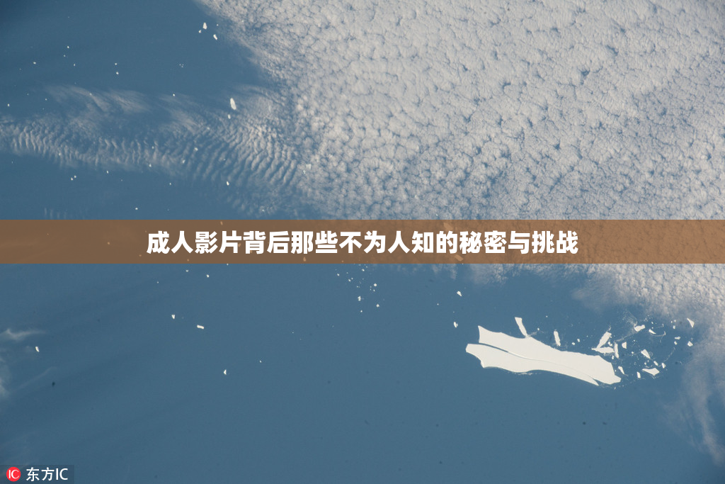 成人影片背后那些不为人知的秘密与挑战