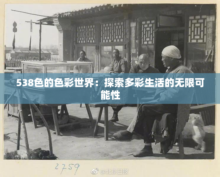 538色的色彩世界：探索多彩生活的无限可能性
