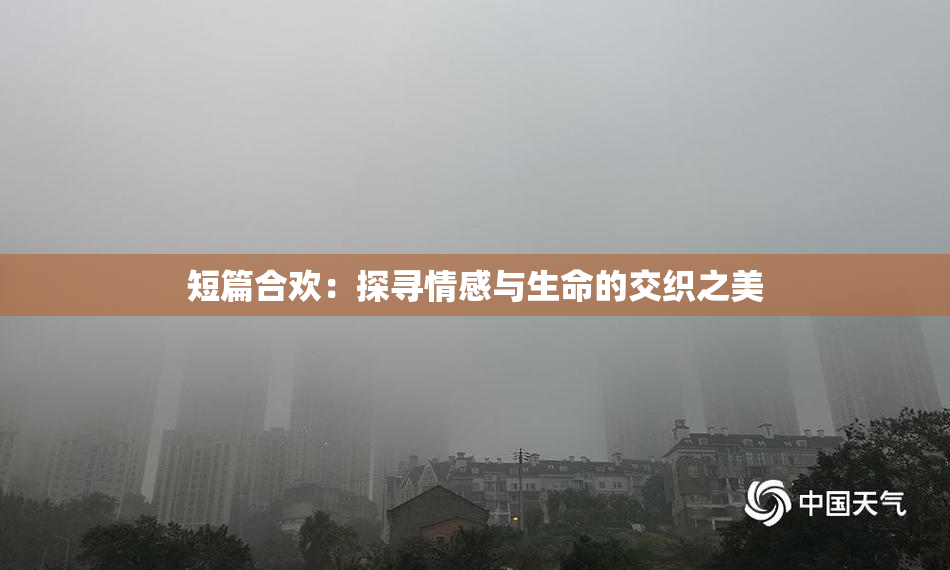 短篇合欢：探寻情感与生命的交织之美