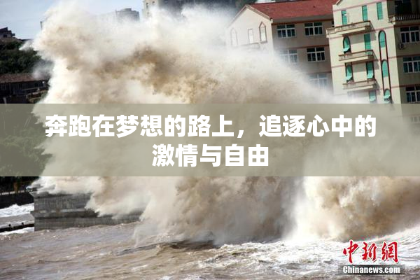 奔跑在梦想的路上，追逐心中的激情与自由
