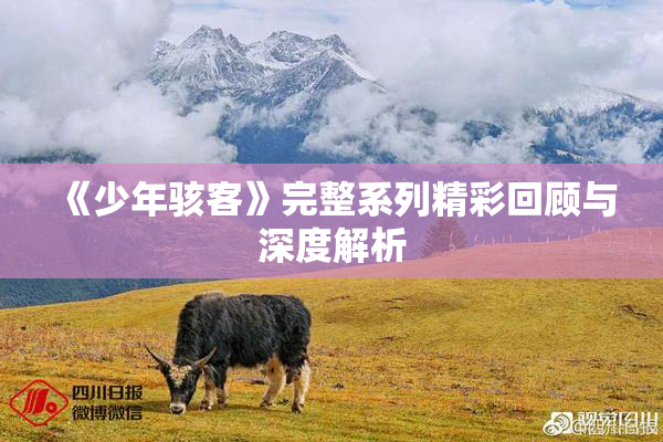 《少年骇客》完整系列精彩回顾与深度解析