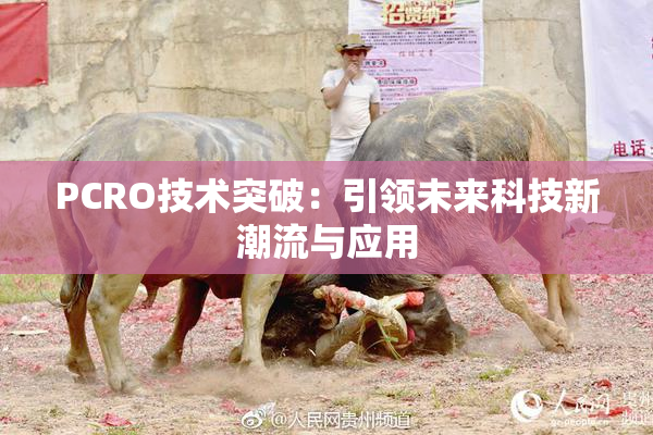PCRO技术突破：引领未来科技新潮流与应用