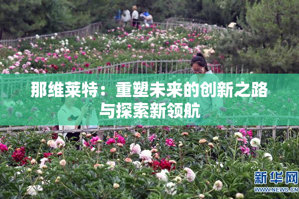 那维莱特：重塑未来的创新之路与探索新领航