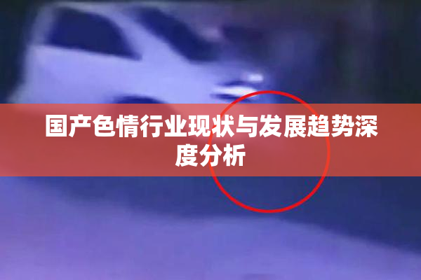 国产色情行业现状与发展趋势深度分析