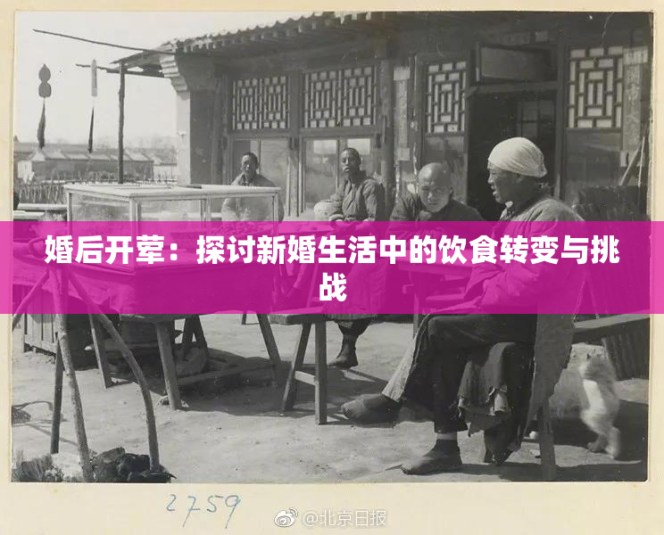婚后开荤：探讨新婚生活中的饮食转变与挑战