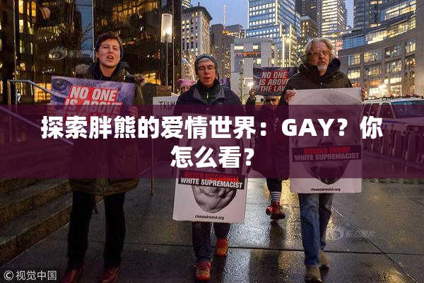 探索胖熊的爱情世界：GAY？你怎么看？