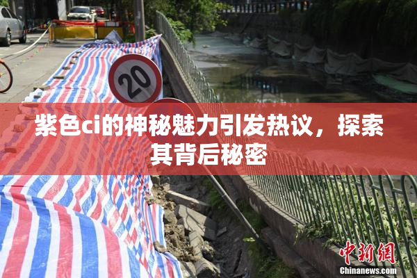 紫色ci的神秘魅力引发热议，探索其背后秘密