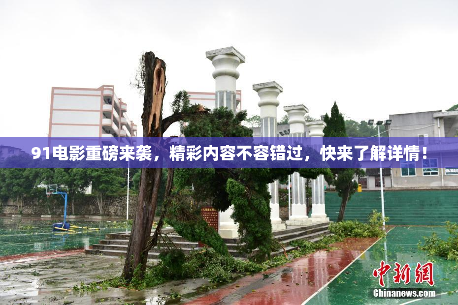 91电影重磅来袭，精彩内容不容错过，快来了解详情！