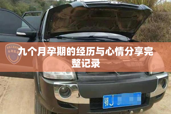 九个月孕期的经历与心情分享完整记录