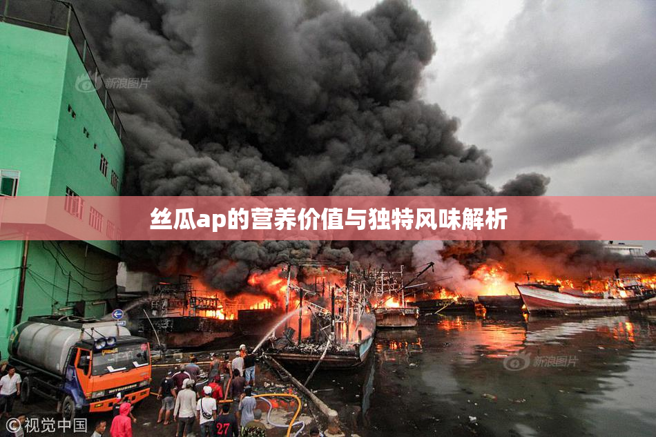 丝瓜ap的营养价值与独特风味解析