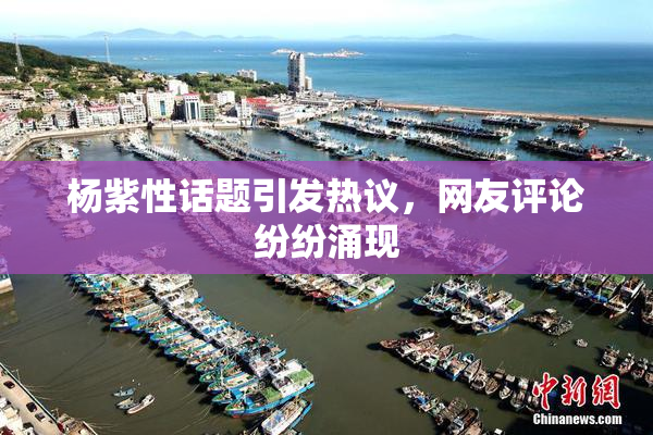 杨紫性话题引发热议，网友评论纷纷涌现