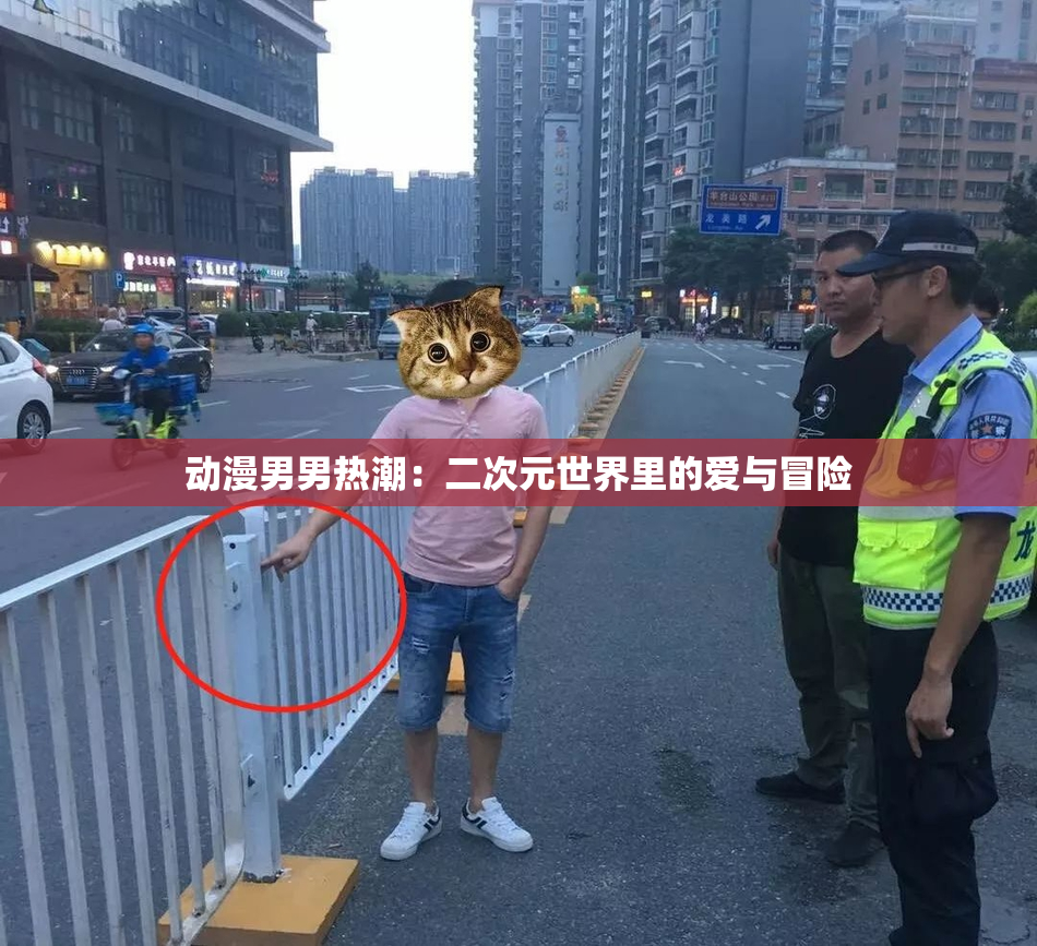 动漫男男热潮：二次元世界里的爱与冒险