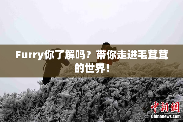 Furry你了解吗？带你走进毛茸茸的世界！