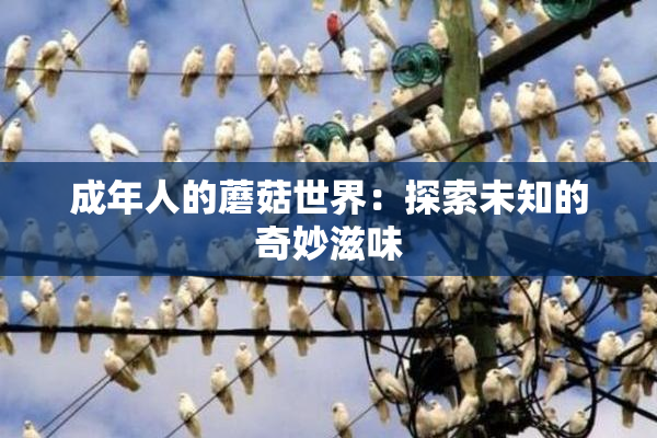 成年人的蘑菇世界：探索未知的奇妙滋味