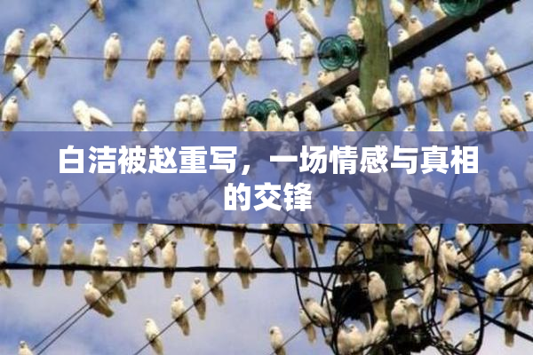 白洁被赵重写，一场情感与真相的交锋
