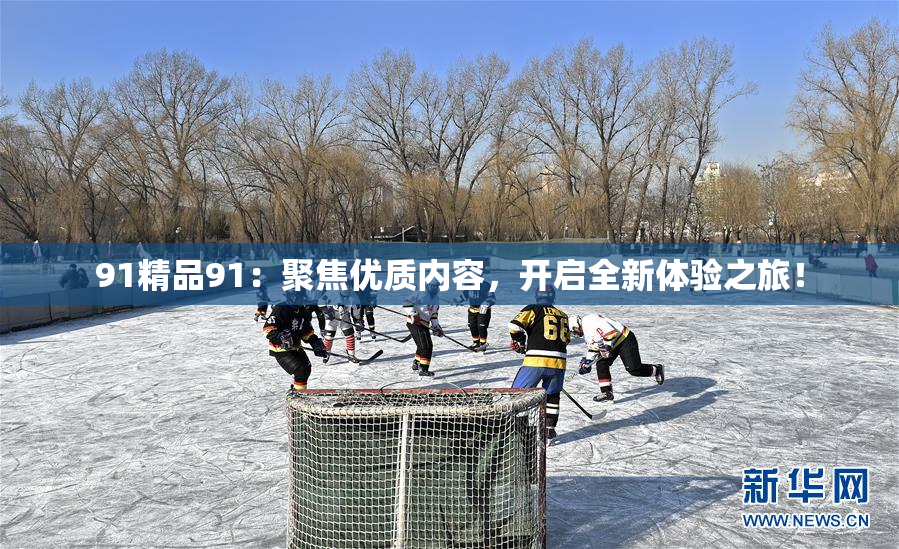 91精品91：聚焦优质内容，开启全新体验之旅！