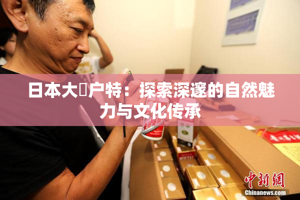 日本大隂户特：探索深邃的自然魅力与文化传承