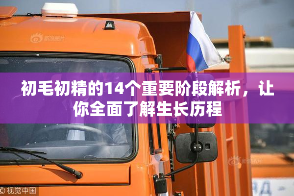 初毛初精的14个重要阶段解析，让你全面了解生长历程