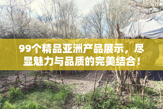 99个精品亚洲产品展示，尽显魅力与品质的完美结合！