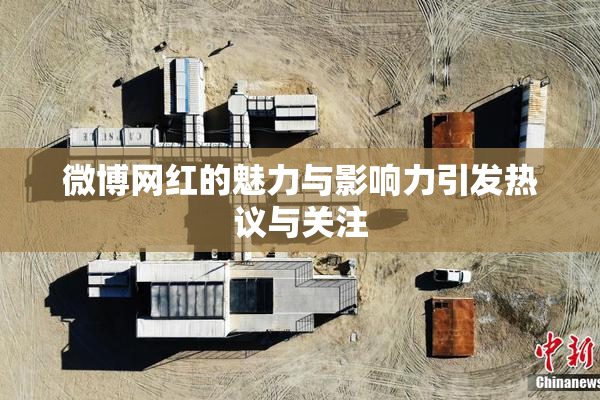 微博网红的魅力与影响力引发热议与关注