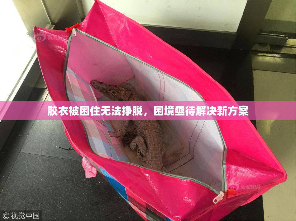 胶衣被困住无法挣脱，困境亟待解决新方案