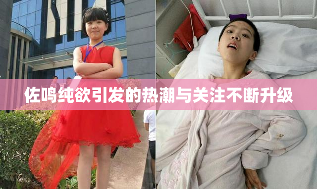 佐鸣纯欲引发的热潮与关注不断升级