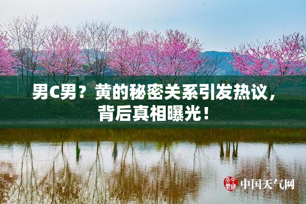 男C男？黄的秘密关系引发热议，背后真相曝光！
