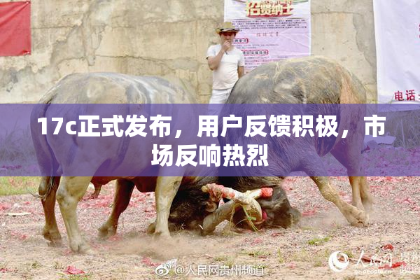 17c正式发布，用户反馈积极，市场反响热烈