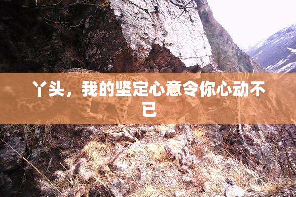 丫头，我的坚定心意令你心动不已