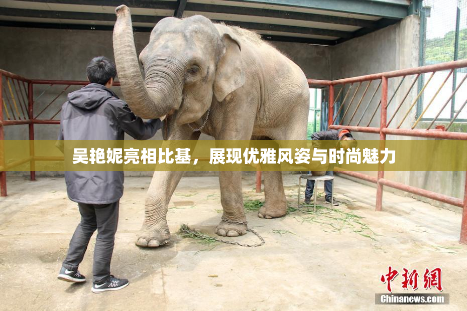 吴艳妮亮相比基，展现优雅风姿与时尚魅力