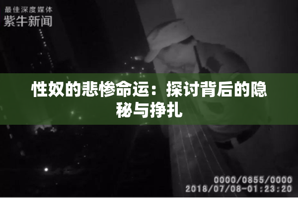 性奴的悲惨命运：探讨背后的隐秘与挣扎
