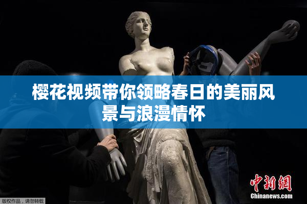 樱花视频带你领略春日的美丽风景与浪漫情怀
