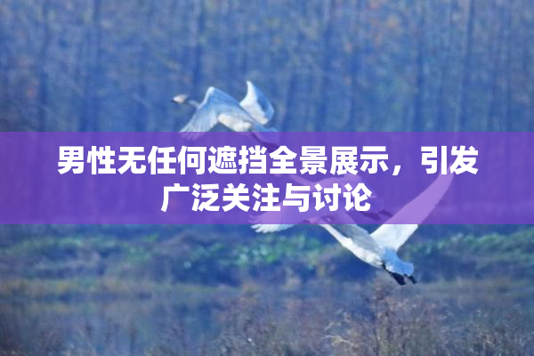 男性无任何遮挡全景展示，引发广泛关注与讨论