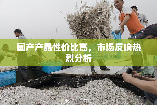国产产品性价比高，市场反响热烈分析