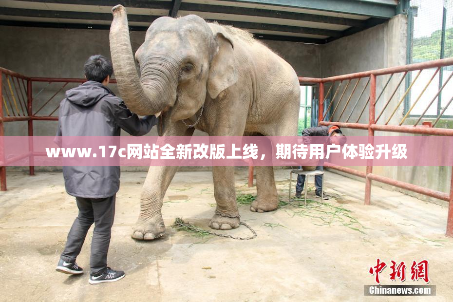 www.17c网站全新改版上线，期待用户体验升级