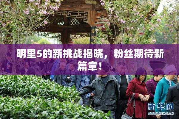 明里5的新挑战揭晓，粉丝期待新篇章！
