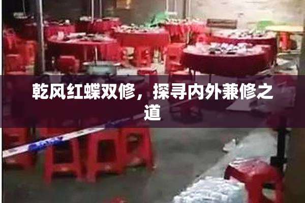 乾风红蝶双修，探寻内外兼修之道