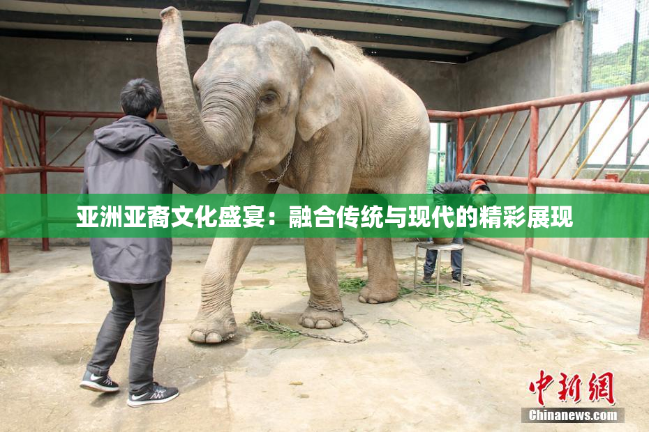 亚洲亚裔文化盛宴：融合传统与现代的精彩展现