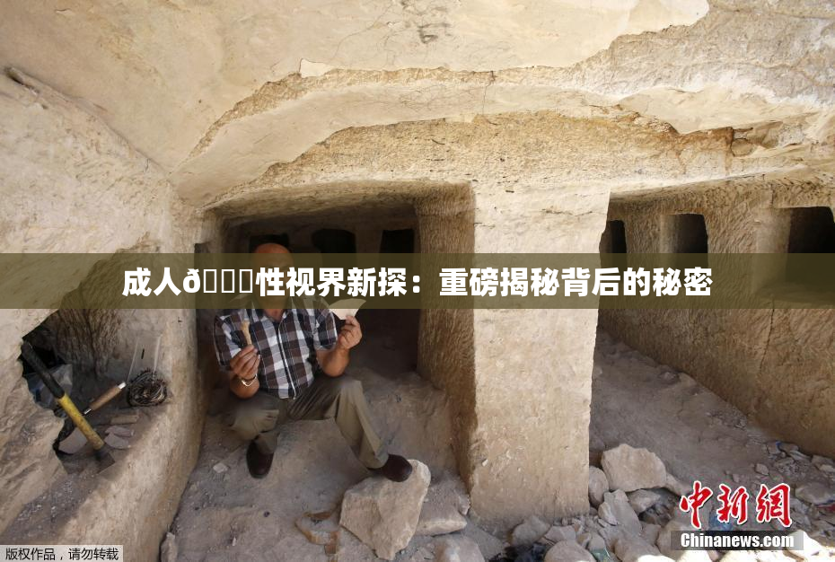 成人🔞性视界新探：重磅揭秘背后的秘密