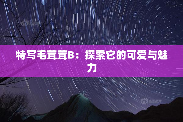 特写毛茸茸B：探索它的可爱与魅力