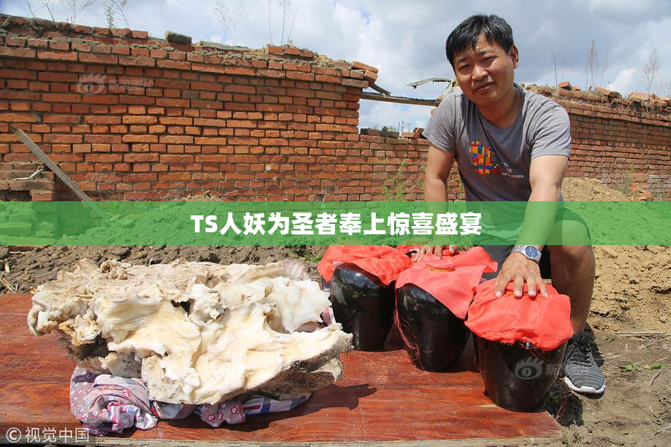 TS人妖为圣者奉上惊喜盛宴