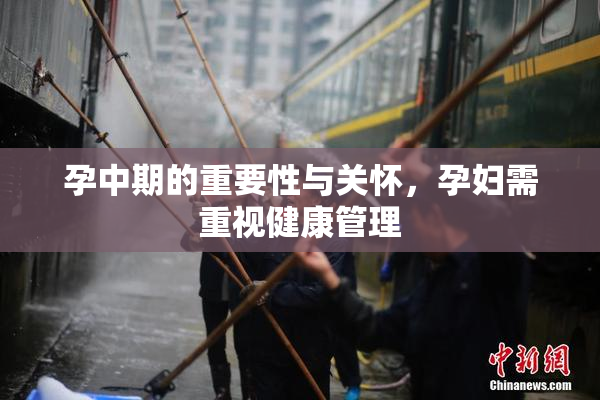 孕中期的重要性与关怀，孕妇需重视健康管理