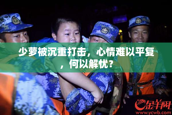 少萝被沉重打击，心情难以平复，何以解忧？